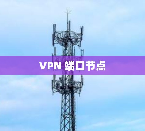 VPN 端口节点