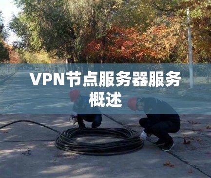 VPN节点服务器服务概述