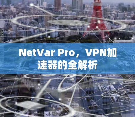 NetVar Pro，VPN加速器的全解析