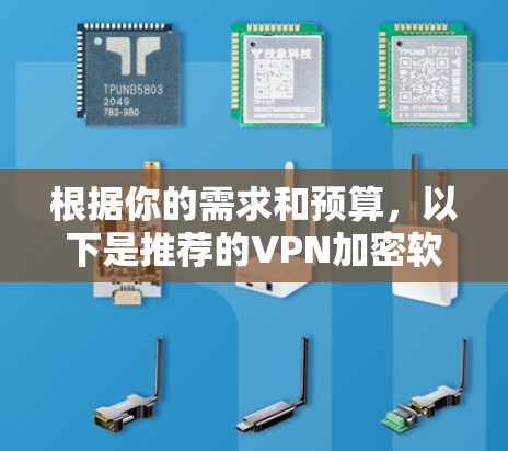 根据你的需求和预算，以下是推荐的VPN加密软件的详细分析和选择建议