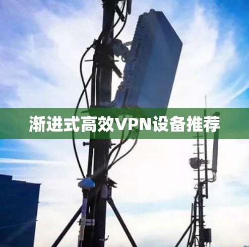 渐进式高效VPN设备推荐