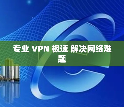 专业 VPN 极速 解决网络难题