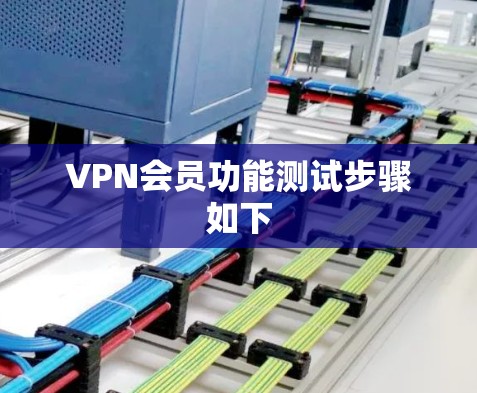 VPN会员功能测试步骤如下