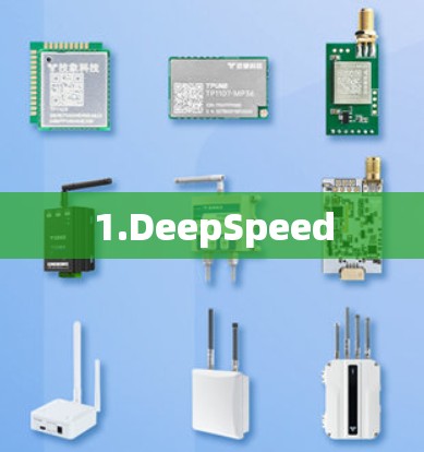 1.DeepSpeed 1.DeepSpeed