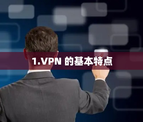 1.VPN 的基本特点