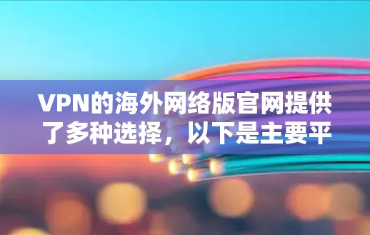 VPN的海外网络版官网提供了多种选择，以下是主要平台及其特点