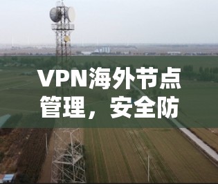 VPN海外节点管理,安全防护与网络管理之挑战与解决方案 VPN海外节点管理,安全防护与网络管理之挑战与解决方案