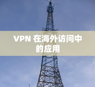 VPN 在海外访问中的应用