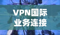VPN国际业务连接是一个多方面的问题，涉及技术、法律、市场策略和用户需求等多个因素。以下是对该问题的详细分析