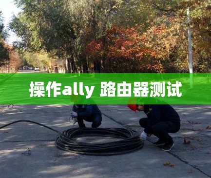 操作ally 路由器测试 操作ally 路由器测试