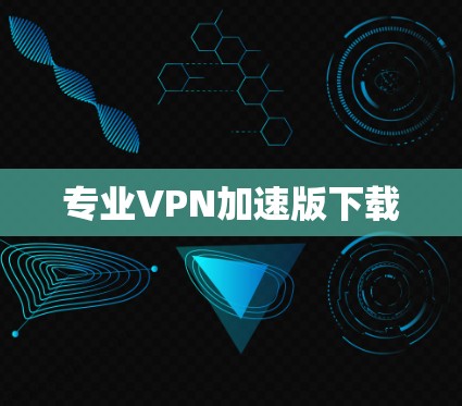 专业VPN加速版下载