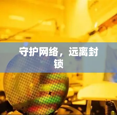 守护网络，远离封锁