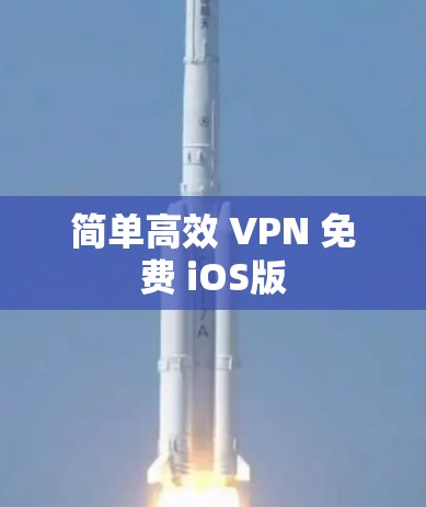 简单高效 VPN 免费 iOS版 简单高效 VPN 免费 iOS版