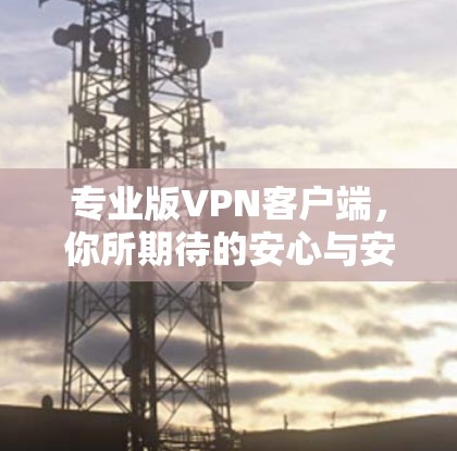 专业版VPN客户端，你所期待的安心与安全？