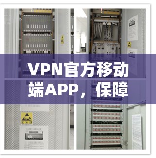 VPN官方移动端APP，保障网络出行的优质选择
