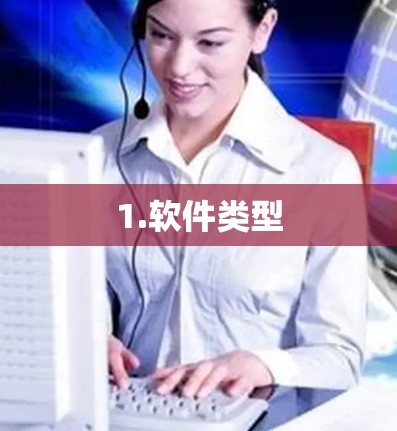 1.软件类型 1.软件类型