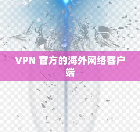 VPN 官方的海外网络客户端 VPN 官方的海外网络客户端