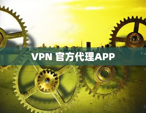 VPN 官方代理APP VPN 官方代理APP