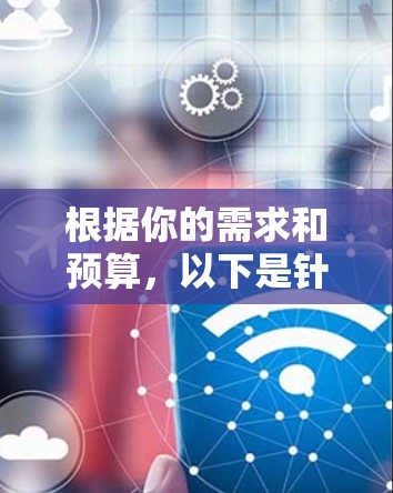 根据你的需求和预算，以下是针对VPN的选择建议