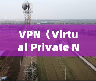 VPN(Virtual Private Network,VPN)作为一种重要的网络保护技术,其存在和发展离不开对用户信息安全的关注和反馈。以下是关于VPN反馈的一些要点
