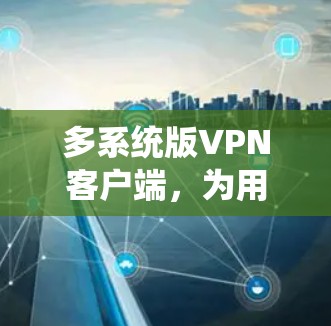 多系统版VPN客户端，为用户提供便捷的网络安全体验